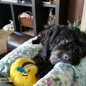 Meet your Posher, Patsy